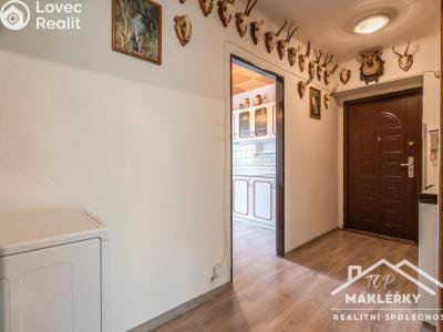Продаж квартири 3+1 Kounice č. 10