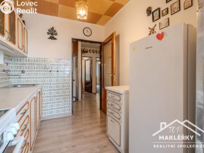 Продаж квартири 3+1 Kounice č. 13
