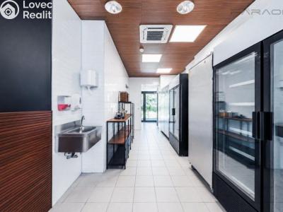 Продаж торгового приміщення Praha, Nuselská č. 12