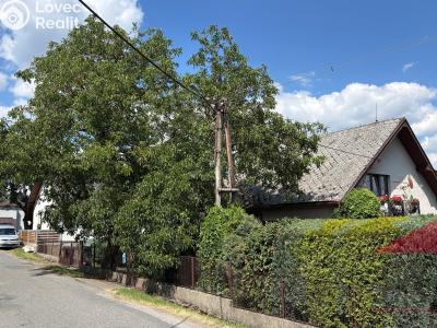 Sale family house Dlažov č. 8