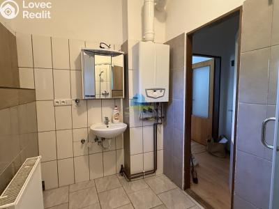 Pronájem bytu 1+1 Aš, Okružní č. 4