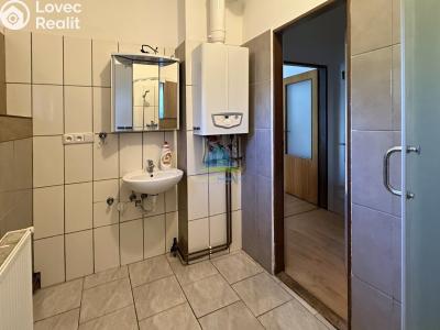 Pronájem bytu 1+1 Aš, Okružní č. 5