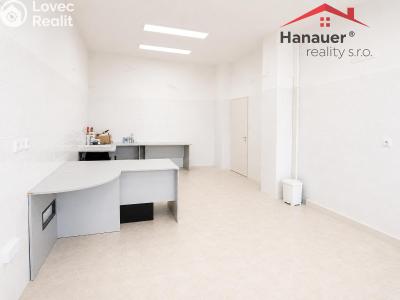 Аренда кабинета врача Ústí nad Labem, U Vlečky č. 3
