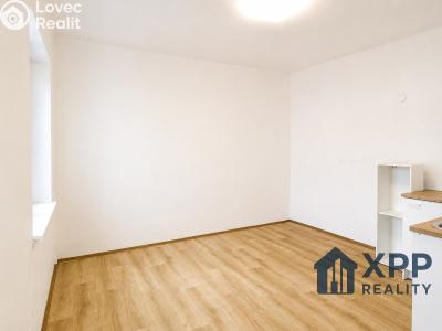 Продажа квартиры 1+KK Chlum u Třeboně č. 2