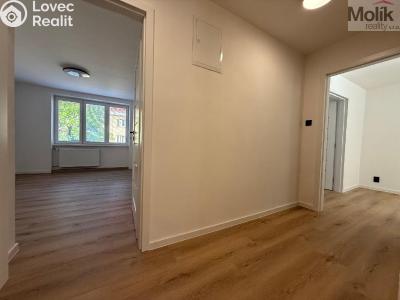 Prodej bytu 3+1 Meziboří, Okružní 232 č. 14