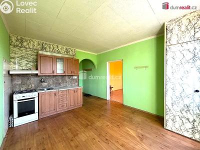 Rent apartment 1+1 Sokolov, Mánesova č. 2