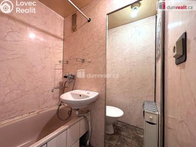 Rent apartment 1+1 Sokolov, Mánesova č. 6
