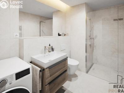 Sale apartment 3+KK Praha, Zenklova č. 10