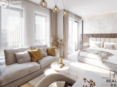 Sale apartment 1+KK Praha, Zenklova č. 6