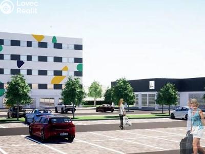 Продажа квартиры 3+KK Polná, Rérychova č. 1