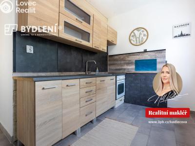 Prodej bytu 2+1 Litvínov, Podkrušnohorská 953 č. 24