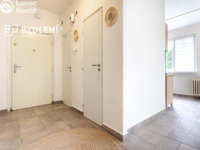 Prodej bytu 2+1 Litvínov, Podkrušnohorská 953 č. 6