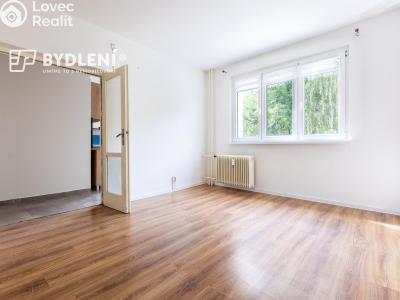 Prodej bytu 2+1 Litvínov, Podkrušnohorská 953 č. 11