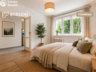 Prodej bytu 2+1 Litvínov, Podkrušnohorská 953 č. 12