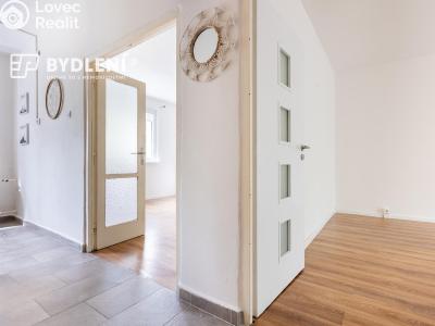 Prodej bytu 2+1 Litvínov, Podkrušnohorská 953 č. 14