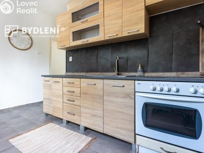 Prodej bytu 2+1 Litvínov, Podkrušnohorská 953 č. 16