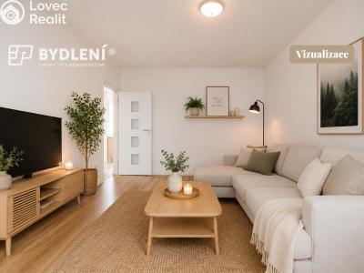 Prodej bytu 2+1 Litvínov, Podkrušnohorská 953 č. 18