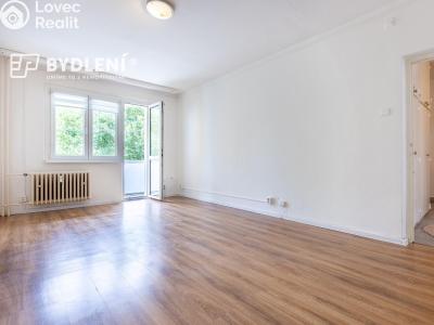 Prodej bytu 2+1 Litvínov, Podkrušnohorská 953 č. 19