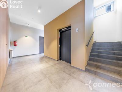 Sale apartment 3+KK Vysoký Újezd, Pivovarská 1001 č. 3