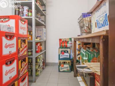 Sale cottage Kolinec č. 38