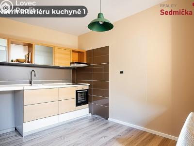 Prodej bytu 4+1 Žirovnice, Babory č. 3