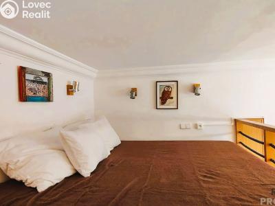 Rent apartment 1+1 Praha, Hálkova č. 5