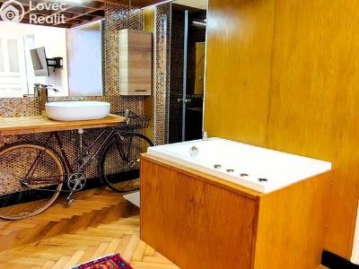 Rent apartment 1+1 Praha, Hálkova č. 7