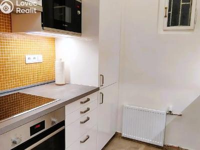 Rent apartment 1+1 Praha, Hálkova č. 8