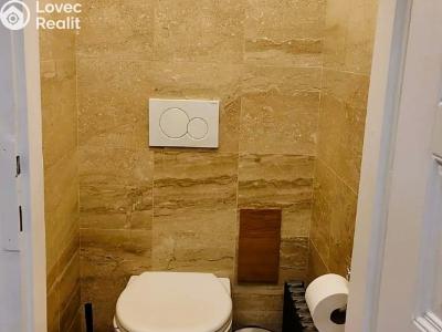 Rent apartment 1+1 Praha, Hálkova č. 17