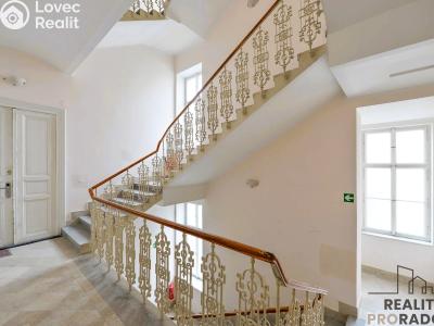 Rent apartment 1+1 Praha, Hálkova č. 18