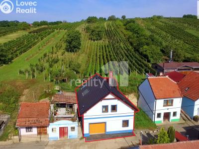 Продажа гостиницы Bořetice č. 1