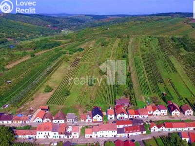 Продажа гостиницы Bořetice č. 29