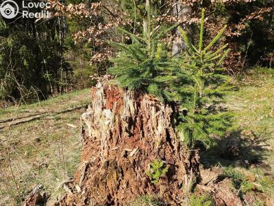 Продажа семейного дома Valašská Bystřice č. 10