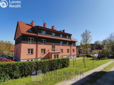 Prodej bytu 1+1 Frymburk č. 4