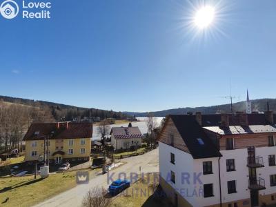 Prodej bytu 1+1 Frymburk č. 10
