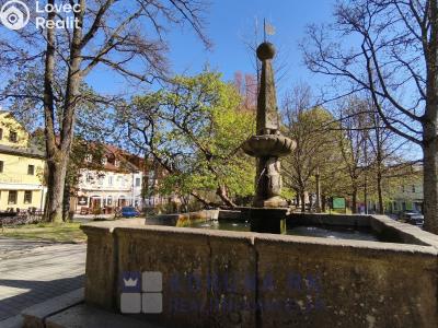 Prodej bytu 1+1 Frymburk č. 19