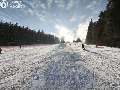 Prodej bytu 1+1 Frymburk č. 22