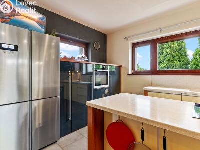 Sale family house Beroun, Za Viničnou 255 č. 17