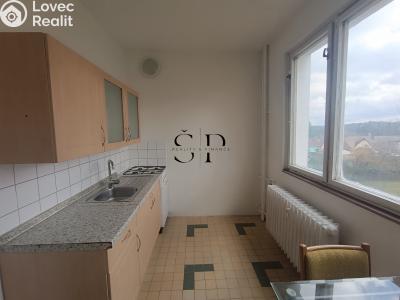 Rent apartment 1+1 Rotava, Sídliště č. 2