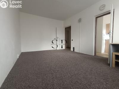 Rent apartment 1+1 Rotava, Sídliště č. 5