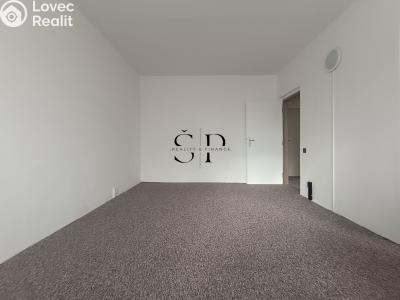 Rent apartment 1+1 Rotava, Sídliště č. 6