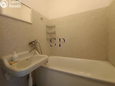 Rent apartment 1+1 Rotava, Sídliště č. 10