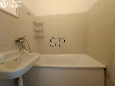 Rent apartment 1+1 Rotava, Sídliště č. 11