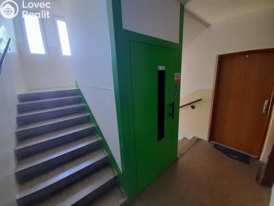 Rent apartment 1+1 Rotava, Sídliště č. 12