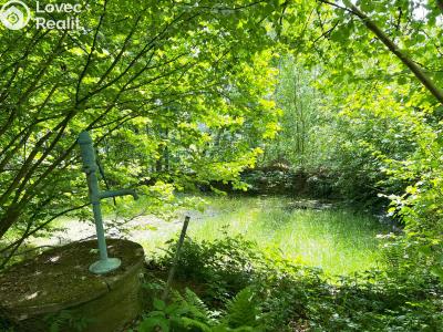Prodej rodinného domu Klenčí pod Čerchovem č. 18