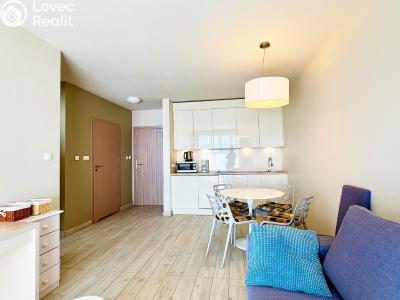 Sale apartments Dolní Morava č. 4