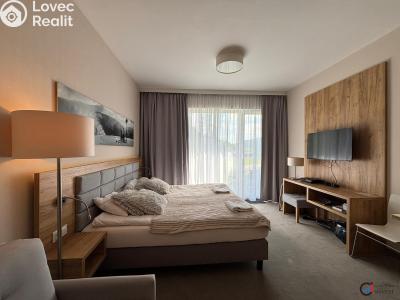 Продажа квартиры 1+KK Dolní Morava č. 6