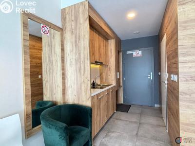 Продажа квартиры 1+KK Dolní Morava č. 7