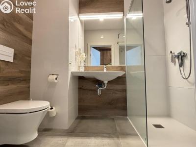 Продажа квартиры 1+KK Dolní Morava č. 9