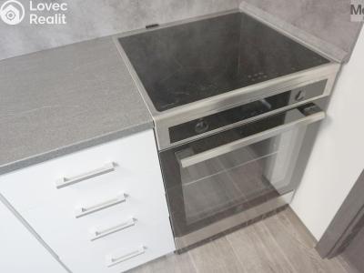 Pronájem bytu 3+KK Litvínov, Ladova č. 4